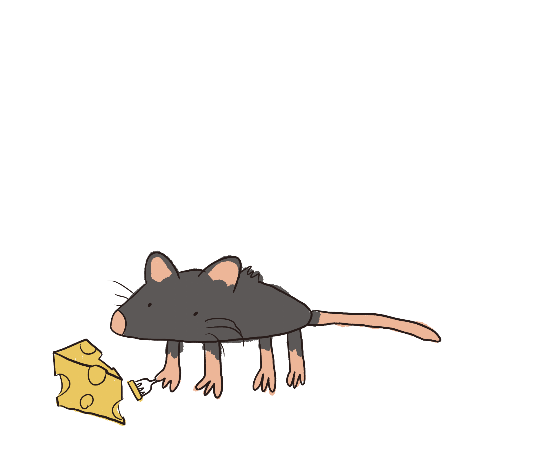 mous w composition